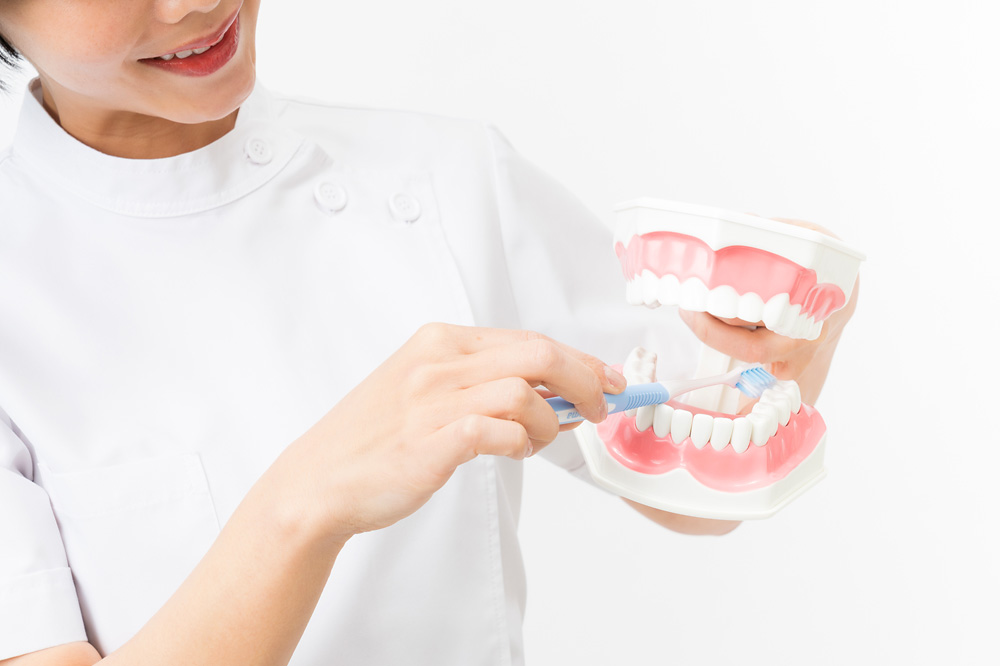 ⻭の寿命をのばす、やさしいプロケア